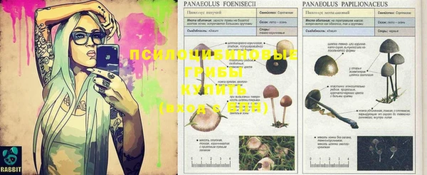 амфетамин Корсаков