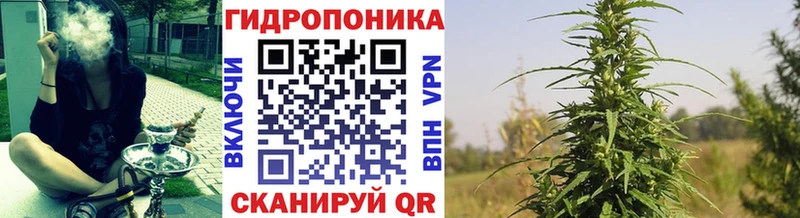 Купить закладки  Вяземский  Бошки Шишки планчик 